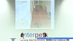 愛猫・ポッツにメロメロ "ベストペットスマイルアワード"受賞