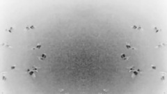 The Rasmus - Paradise