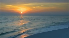 Bandari,音乐短片 - Lonely Hearts