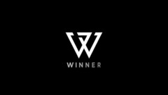 姜昇润(Winner),金秦禹(Winner),Winner,李昇勋(Winner),宋旻浩(Winner) - REALLY REALLY