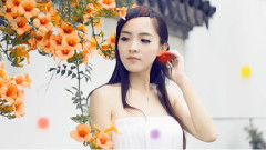 这首歌把我唱的心碎,不知谁还记得歌词,谁唱的!