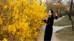 袁泉 - 说再见难再见