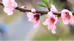 等你等了那么久