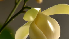 看透爱情看透你