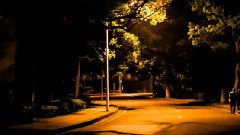 寂静的夜,神圣的夜