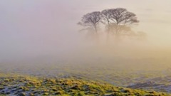 瑞士乔瓦尼乐队作品【我心依旧】