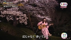 藤原さくら - 春の歌