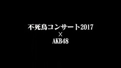 AKB48 - "美空ひばり生誕80周年特別企画in東京ドーム不死鳥コンサート2017"AKB48 留言短片