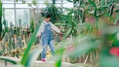 华语童星 - 漂亮小公主