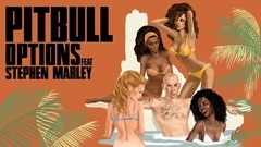 Pitbull,Stephen Marley - Options (SpydaTEK Remix)