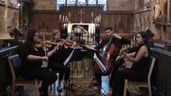 Make You Feel My Love