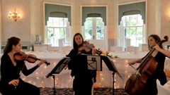 Make You Feel My Love (Adele)