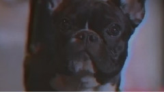 Incubus - Nimble Bastard