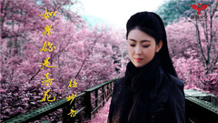 任妙音 - 如果你是落花