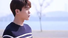 [making]狗狗cp甜蜜的郊游!春天在汉江公园约会