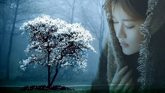 生命,是一树花开