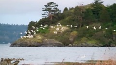 斯卡吉特峡谷的春天