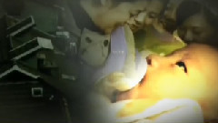 影视原声 - 电视剧<月嫂>片头曲