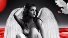 Por Que Tem Que Ser Assim