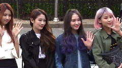 樱花遍布的上班路上