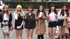 GFriend - 樱花遍布的上班路上