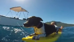 Best Vocal Deep House Tropical House