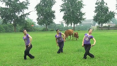 呼伦贝尔大草原 广场舞