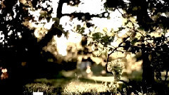 Sam Feldt & De Hofnar feat. Henk Westbroek - Zolang Ik Jou Heb (Lyric Video