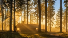 周晓鸥 - 爱不爱我