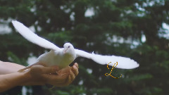 Sending You Easter Blessings