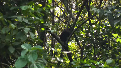 Mountains of the Moon