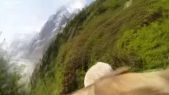 The Best Of Eagle Attacks Caught On Video Most Amazing Wild Animal Fights