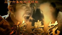 影视原声 - 电视剧<狼毒花>片头曲