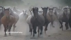 Awesome! Dolby Surround