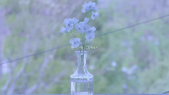 金奎钟 - 你好 春天