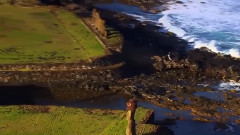 О чем плачут ивы