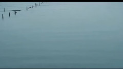 诉衷情(江南春色)