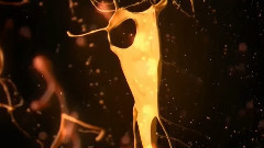 Pink The Color Of Love