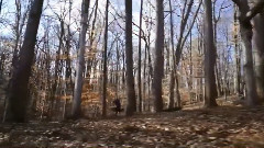 Billboard Top 30 Adult Alternative Songs