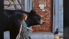 Billboard Top 40 Alternative Songs