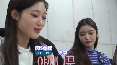 Trip - Yolo Trip第二集