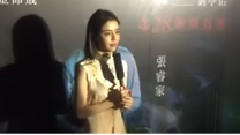 李毓芬 - 电影<最完美的女孩>首映记者会