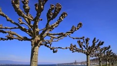 瑞士【Switzerland】