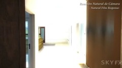 SkyFX Interactive Architecture