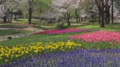 江美琪,风景,原创,音乐短片 - 东京铁塔的幸福