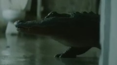 OneRepublic - Counting Stars