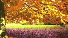 Linkin Park - Les Baricades Mistérieuses