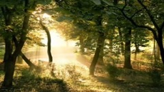 Enigma - Enigma 's Metamorphosis