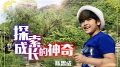 华语童星 - 探索成长的神奇