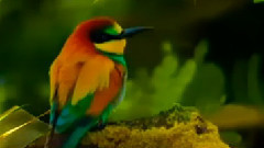 Paul Mauriat - Je Npourrai Jamais Toublier